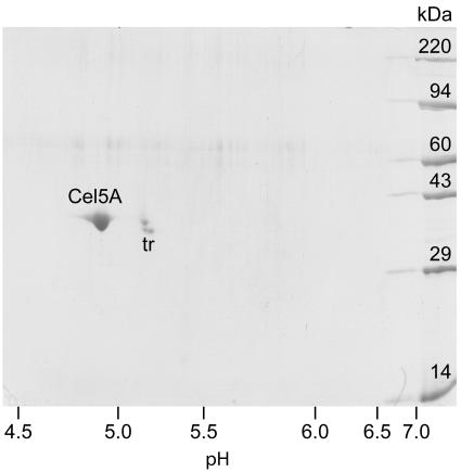 FIG. 3.