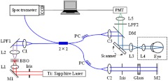 Fig. 1