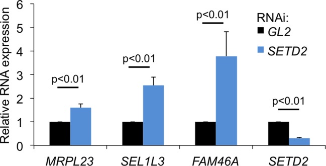 Figure 3—figure supplement 3.