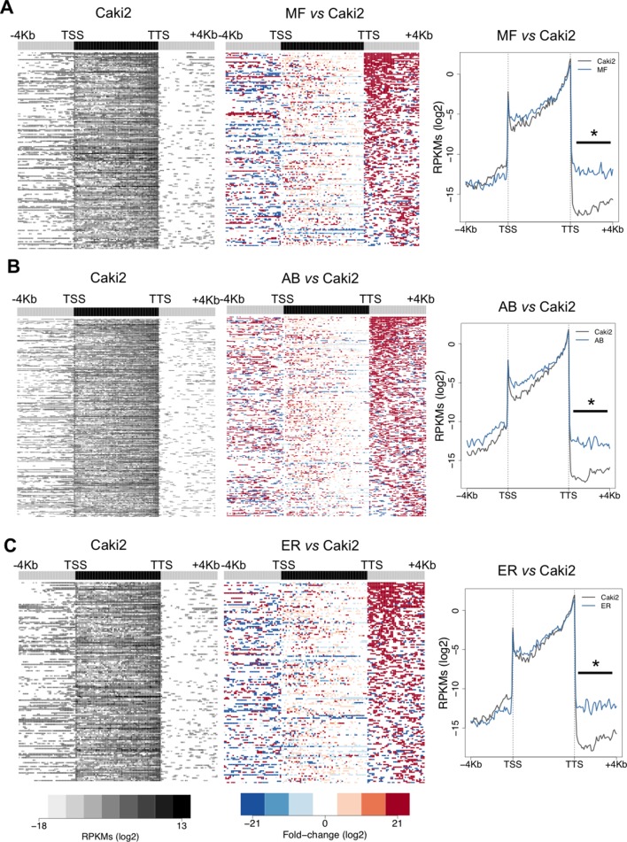 Figure 3—figure supplement 1.