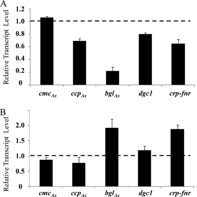 Fig 6