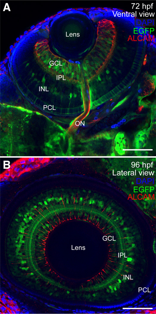 Fig. 9