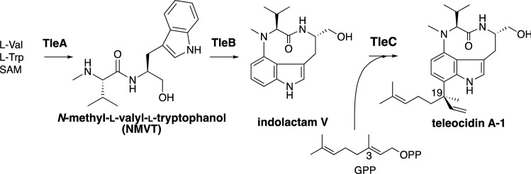 Fig. 3