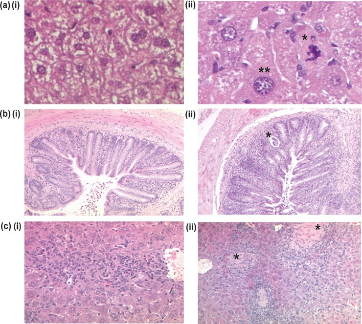 FIG 3 