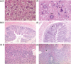 FIG 3