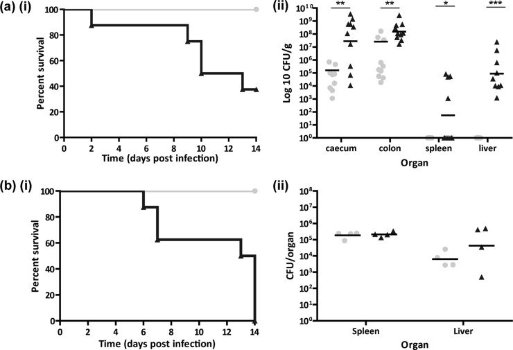 FIG 2 