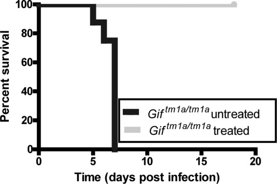 FIG 6 