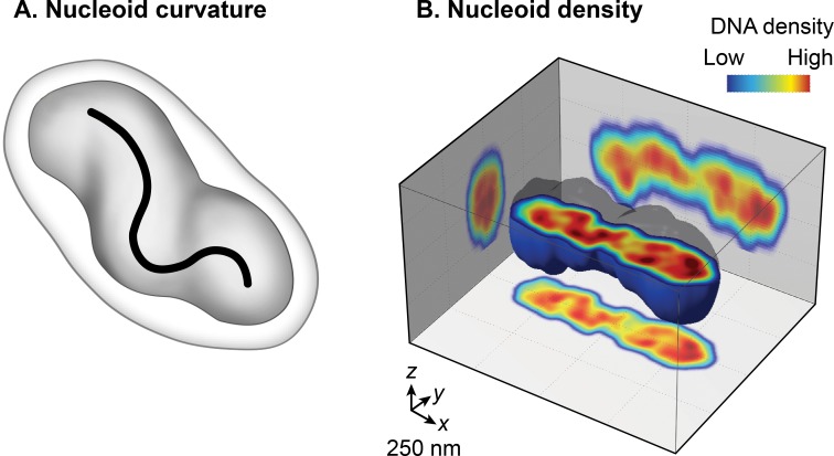 Fig 11