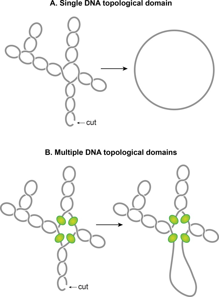 Fig 7