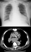 Fig. 5