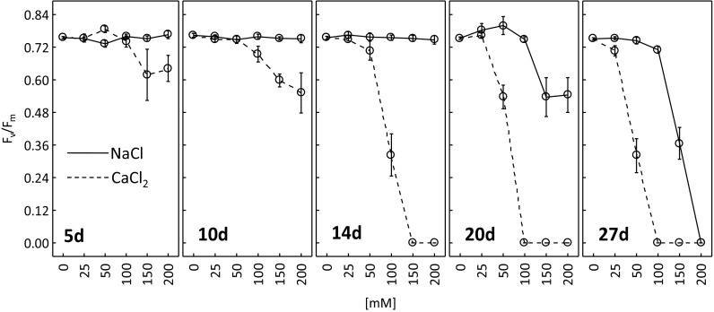 Fig. 5