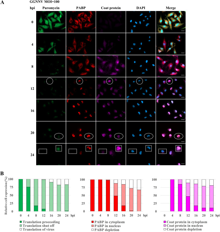 FIG 3