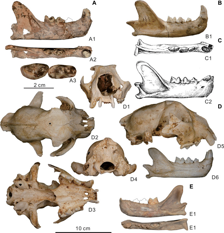 Fig. 1.