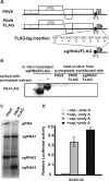 FIG. 7.