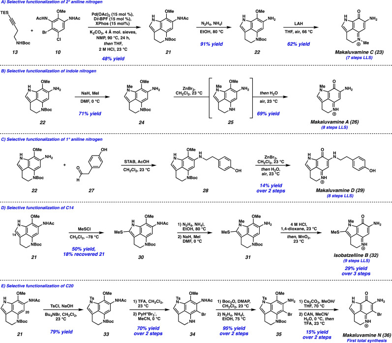 Scheme 3