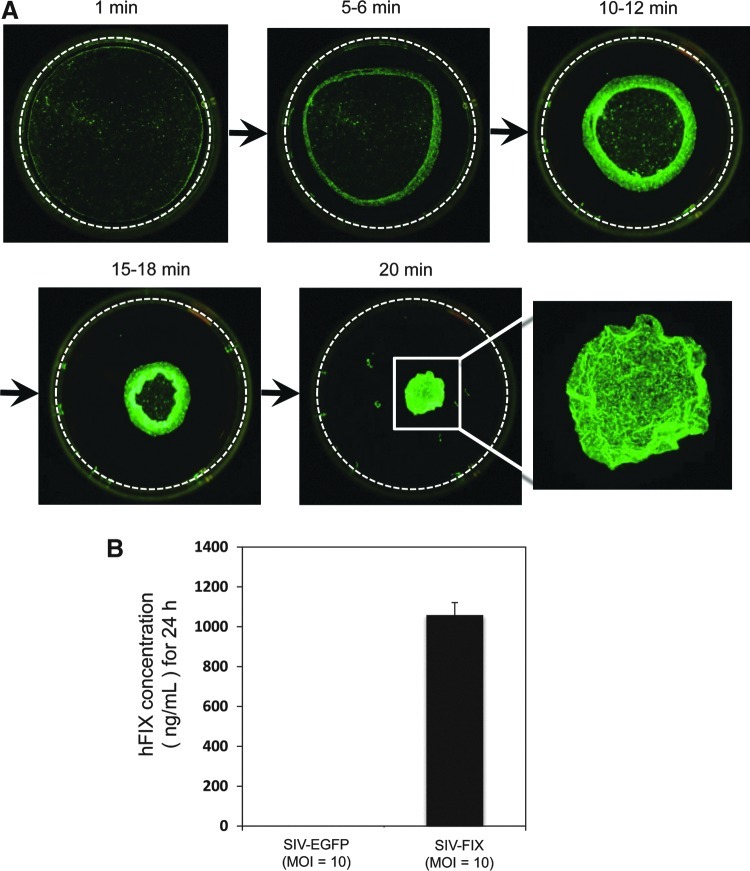 FIG. 6.