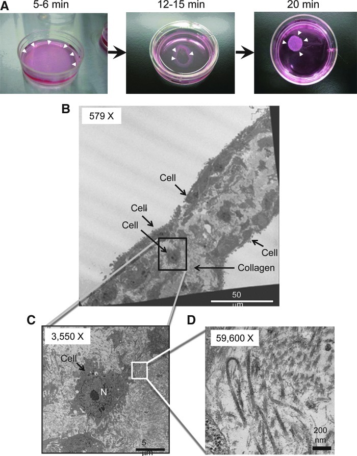 FIG. 5.