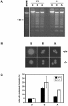 FIG. 4.