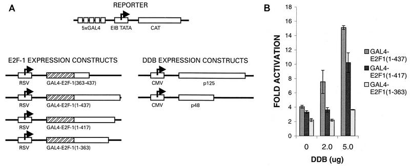 FIG. 8