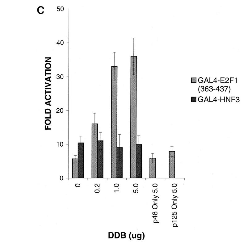 FIG. 8