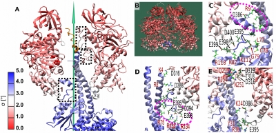 Fig. 4.