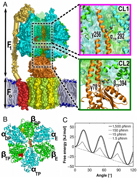 Fig. 1.