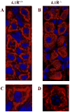 Fig 5