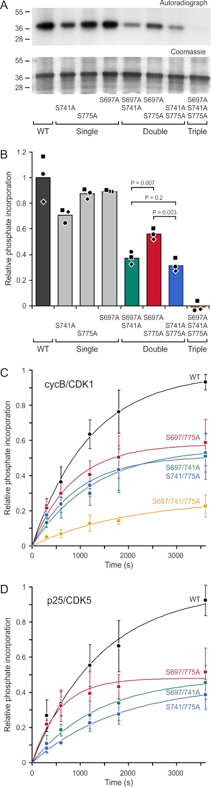 FIGURE 6.