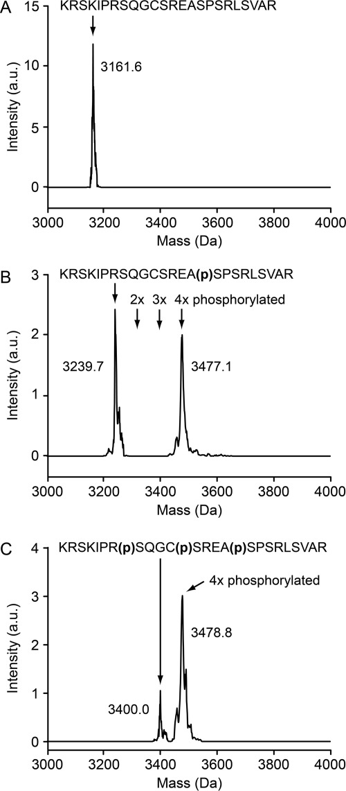 FIGURE 7.