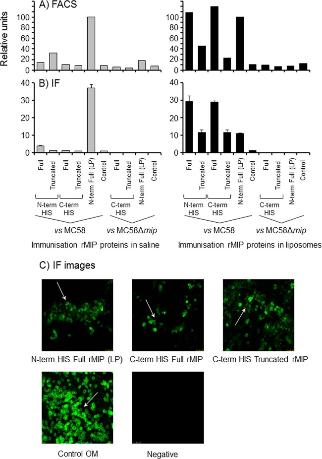 FIG 4