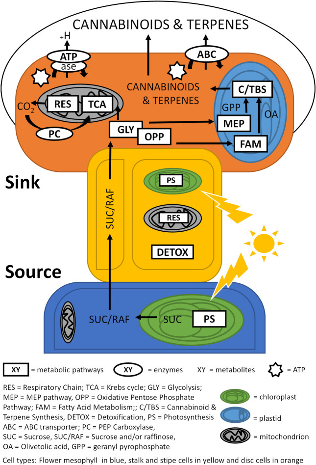 Fig 8