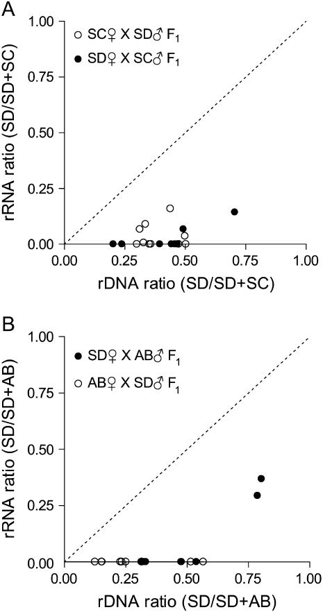 Figure 4.—