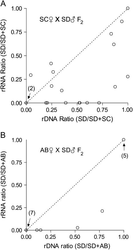 Figure 6.—