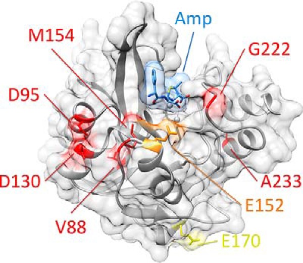 Figure 2.