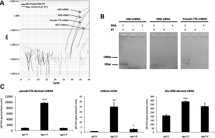 Figure 3.