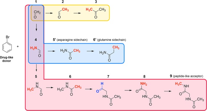 Scheme 1