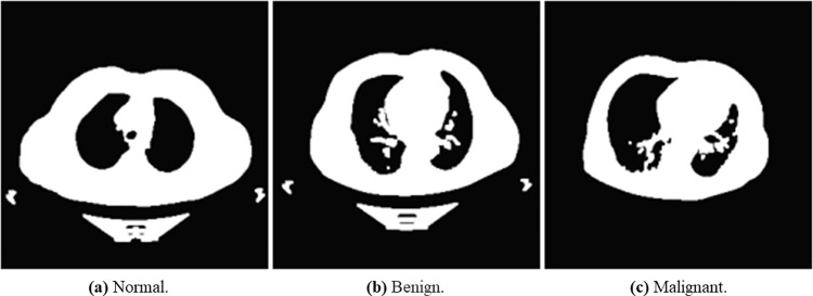 Fig 13