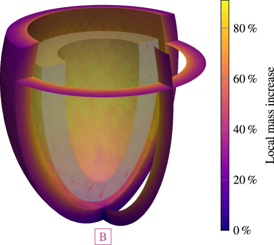 Fig. 10