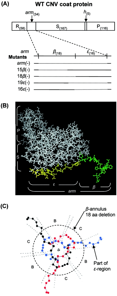 FIG. 1.