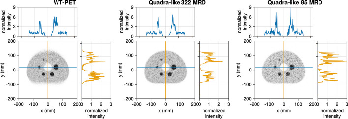 Fig. 10