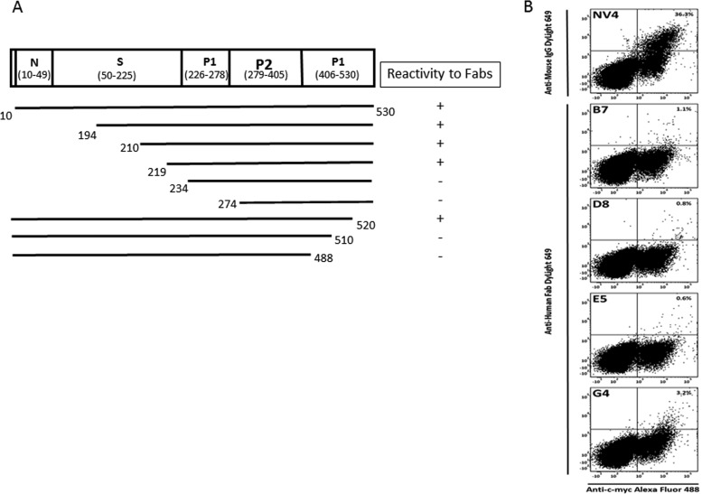 Fig 3