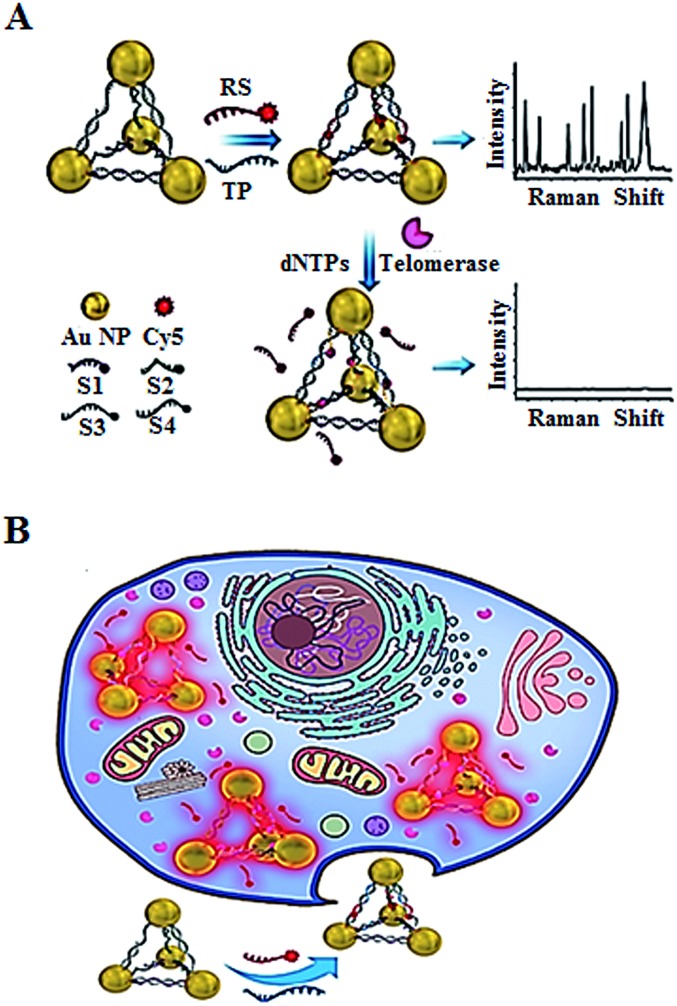 Fig. 11