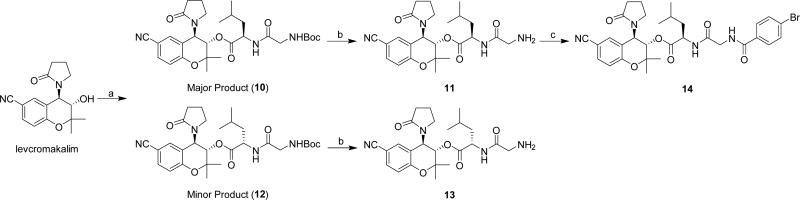 Scheme 4