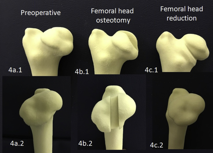 Fig. 4