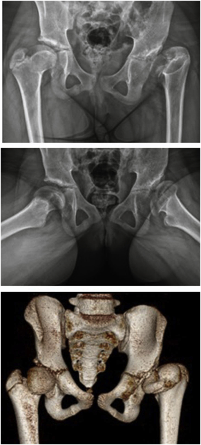 Fig. 2