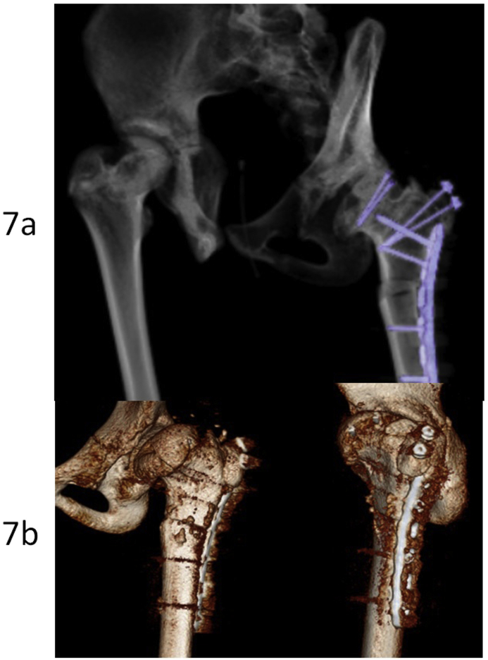 Fig. 7