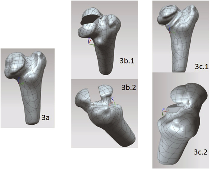 Fig. 3