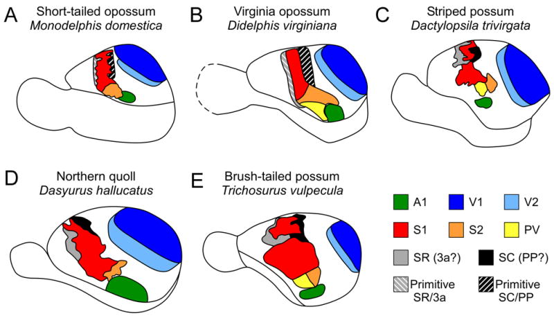 Figure 11