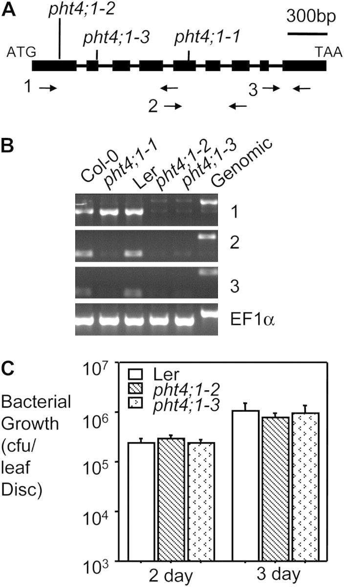 Figure 3.