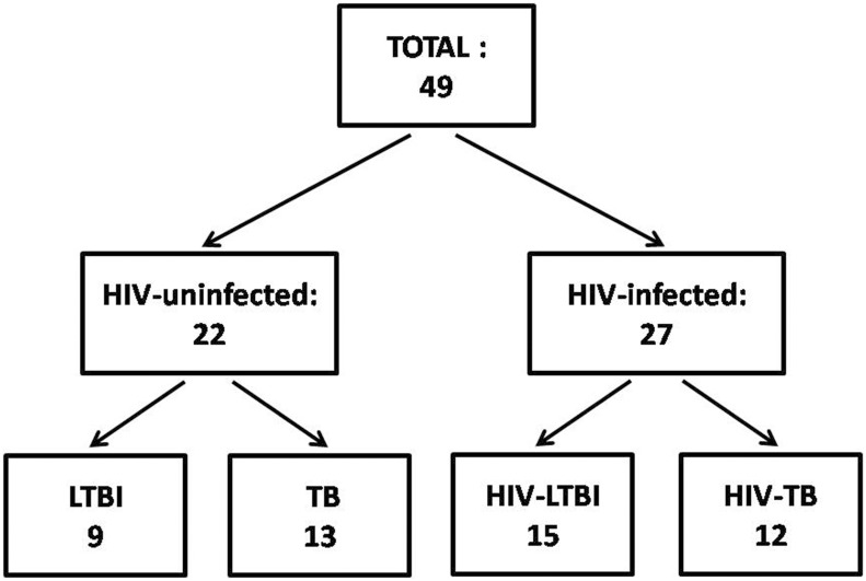 Fig 1